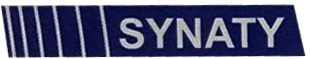 SYNATY AUTOMOTIVE PRIVATE LIMITED